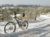 maggica-on-snow.jpg