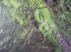 20140808_100229.jpg