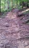 20140810_095558.jpg