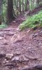 20140810_101430.jpg