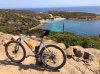 Asinara 1.jpg