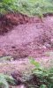 20140814_110518.jpg