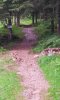 20140814_110558.jpg