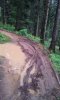 20140814_165752.jpg