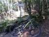 20140821_100226.jpg