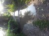 20140828_183201.jpg