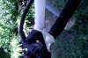 DSCF9587.jpg