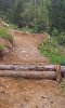20140904_115846.jpg