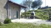 DSC00575.jpg