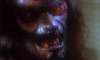 immagine_l-ululato-the-beasts_7226.jpg