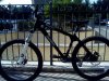 DSC00183.jpg