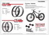 2015_YSBIKE_OEM_fatbike_catalog_page_002.jpg