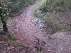 20141012_161341.jpg
