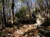 DSCN6696 1.jpg