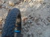 SDC16942.jpg