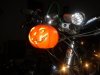 Halloween 7.jpg