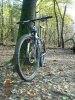 DSCN0668.jpg