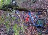 IMG-20141116-00303.jpg