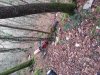 uploadfromtaptalk1417386840246.jpg