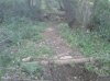 2014-04-23 17.15.13.jpg