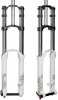 rockshox-domain-dual-crown-2011.jpg