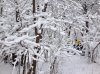 2015-02-14 Caglio 02.jpg