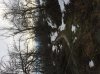 IMG_0833.jpg