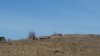20150301_095005(0).jpg
