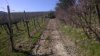 WP_20150307_003.jpg