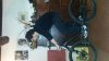 20150308_194853.jpg