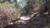 20150309_124643.jpg