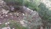 received_10205130869025359.jpg