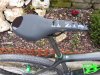 20150321_154747.jpg