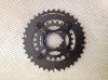 spider104.jpg
