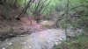 WP_20150425_007.jpg