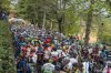 _MTB3565.jpg