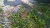 Edited_Image02fdc90f-2d97-424f-a214-99a7da254f48_TapatalkEditedImage.jpg