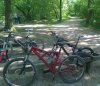 WP_20150510_001.jpg