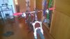 WP_20150603_001.jpg