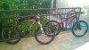 WP_20150603_005.jpg