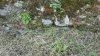20150530_102558.jpg