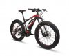 fanitic-fat-bike-sport-frontview.jpg