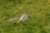 DSC02083.jpg