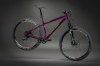 ROS9-Purple_140507_1138-Edit.jpg