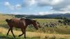 20150907_104752.jpg