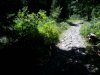 20150802_124247.jpg