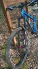 WP_20150304_002.jpg
