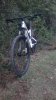 WP_20151011_002.jpg