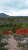20151012_170920.jpg