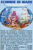 scimmie di mare.jpg